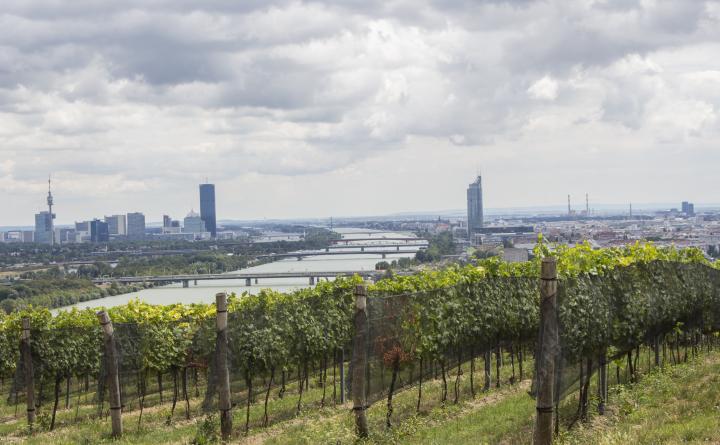 Clubtag Standwanderweg Wien 15.07.2017